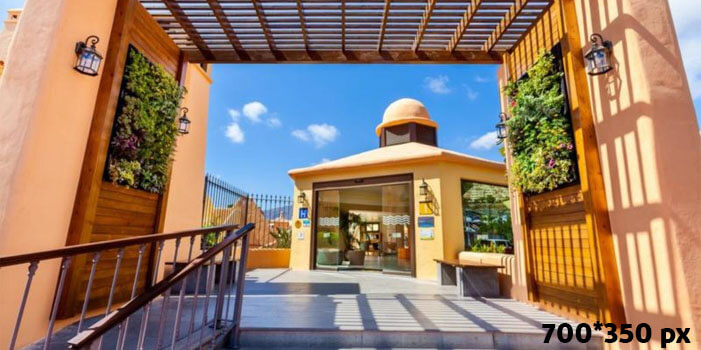 تاگورو فمیلی اند فان تاگورو فمیلی اند فان